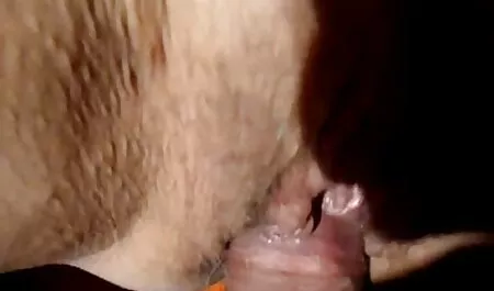 Kissa pillua ja viimeistely ilmaiset seksielokuvat Pienet tissit.