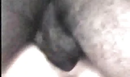 Kaunis itsetyydytys mulatto. seksivideoita