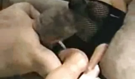 Perverssi ilmaisia suomalaisia seksivideoita valkoinen koira, musta,